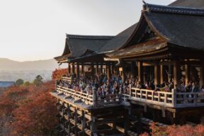 10-Day Highlights of Japan Sightseeing Tour of Tokyo, Hakone, Takayama, Kyoto, and Osaka