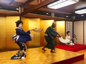 Japanese Dinner and Drinks Buffet and Geisha Show Tokyo – Best Dinner Buffet