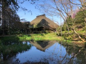 Akiyama Valley & Hidden Trails Tour – A Unique Adventure in Tokyo’s Backyard