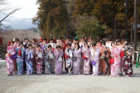 Nikko Tour to Shinkyo Bridge UNESCO World Heritage Site with Free Kimono