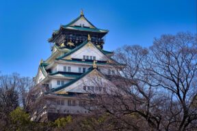 8-Day Cultural Heritage Highlights of Tokyo, Hakone, Kyoto, Nara, and Osaka Sightseeing Tour