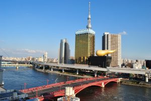 One Hour Rickshaw Tour of Edo Districts of Old Tokyo and Hanamachi District